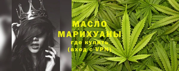 гидра Арсеньев