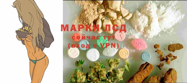 гидра Арсеньев